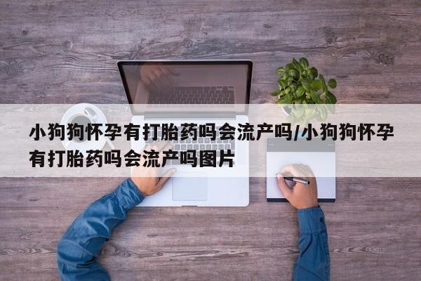 药流药网上购买小狗狗怀孕有打胎药吗会流产吗/小狗狗怀孕有打胎药吗会流产吗图片