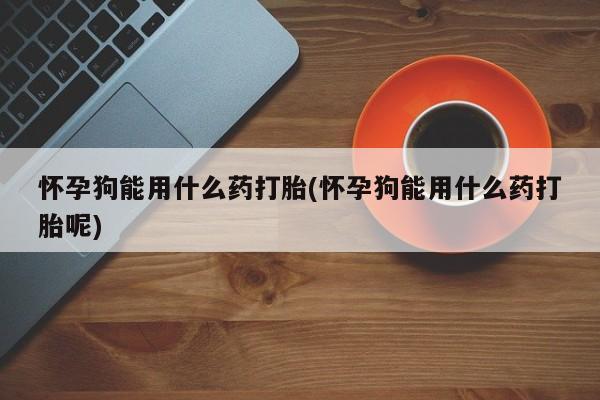 药流药网上购买怀孕狗能用什么药打胎(怀孕狗能用什么药打胎呢)